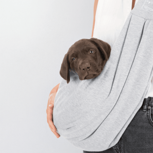Trixie bæresele til hvalpe og mindre hunde