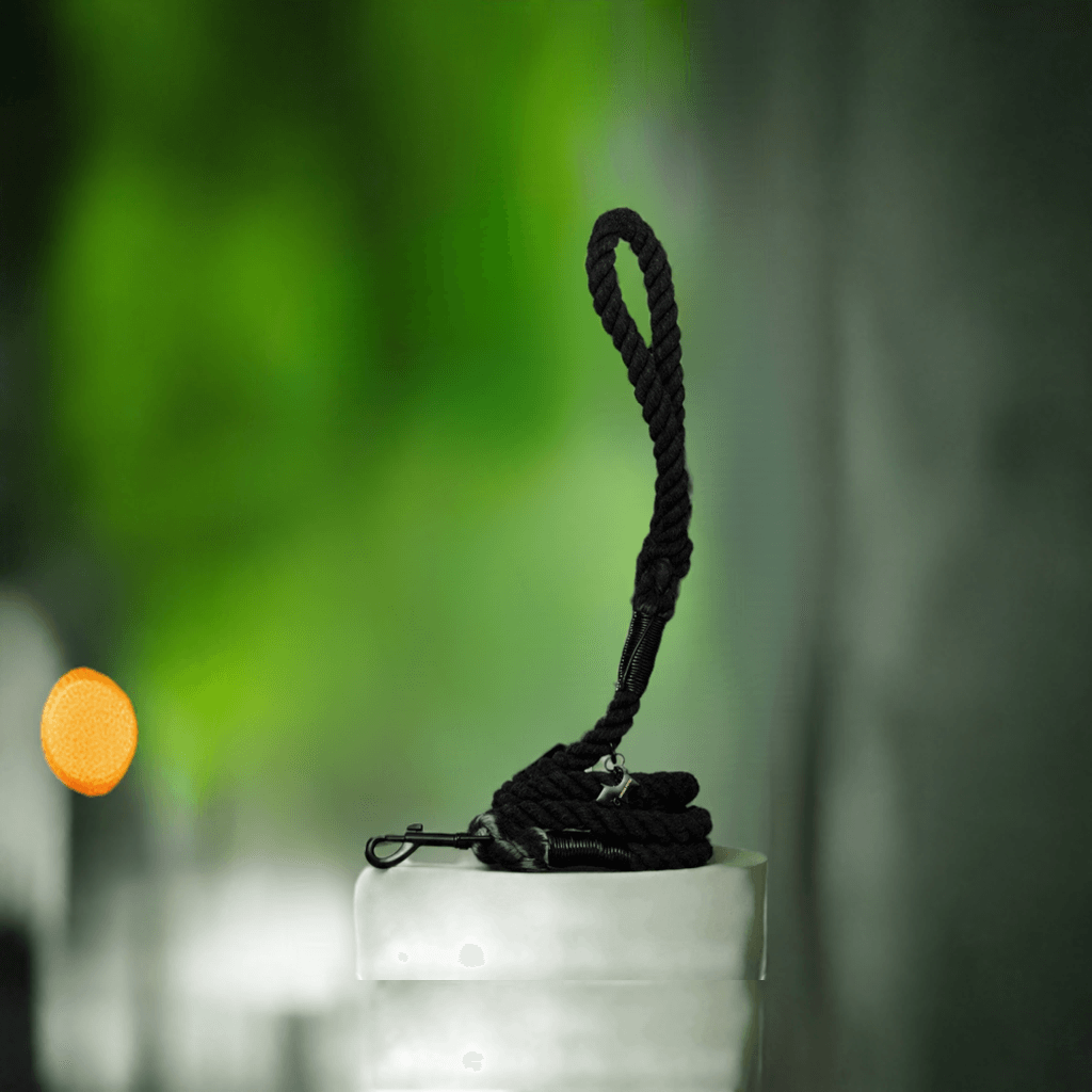 Luxury paws leash "Noir"