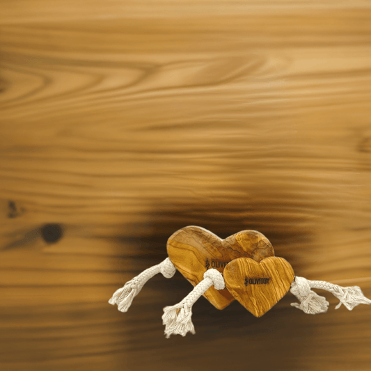 Olivi wooden toy 