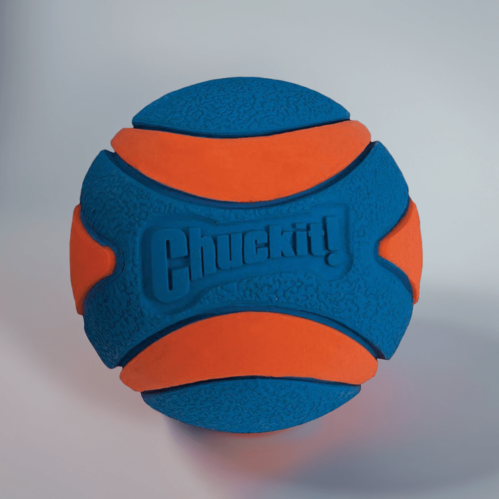 Chuck 'It Ultra squeaker ball