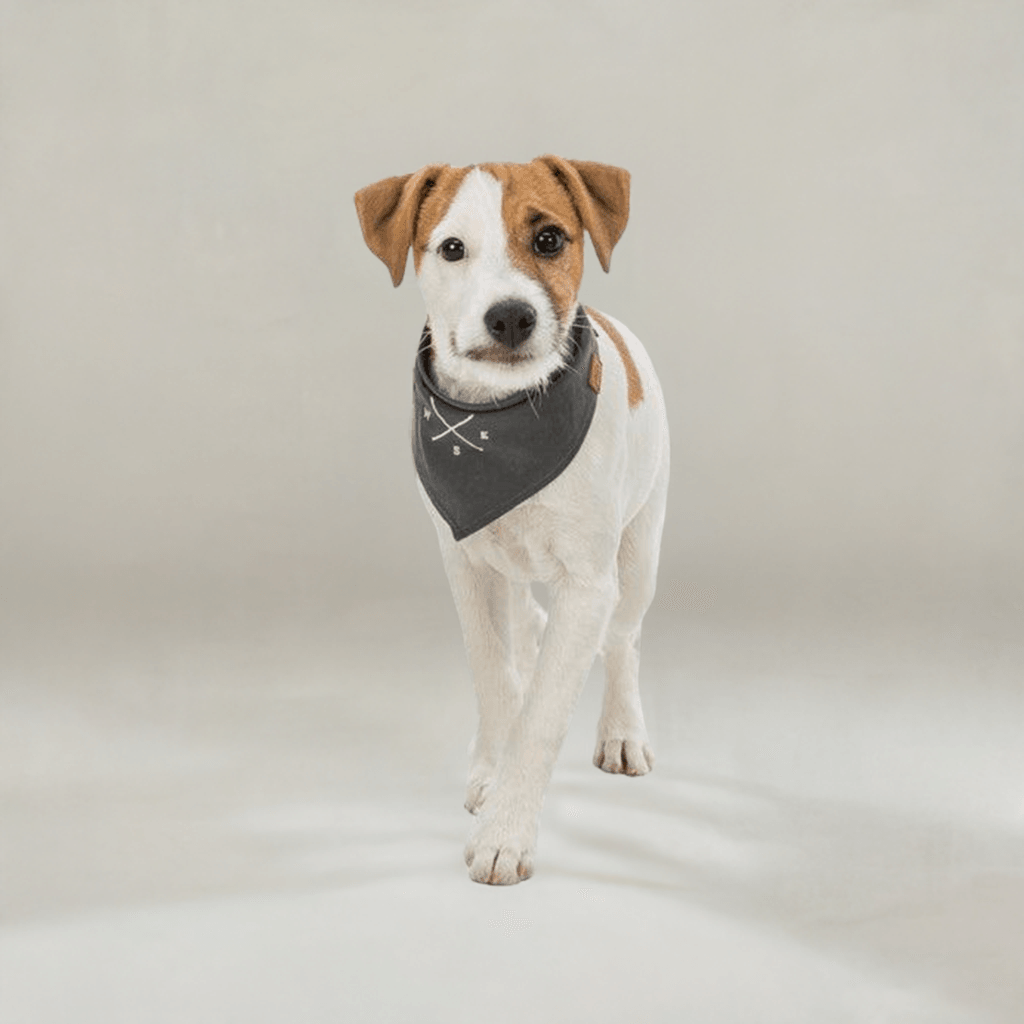 Trixie scarf from Be-Nordic