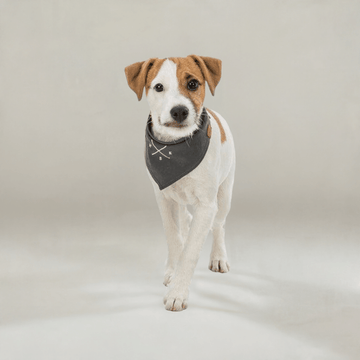 Trixie scarf from Be-Nordic