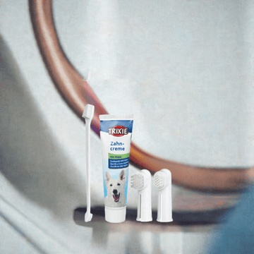 Trixie 4-piece dental care set