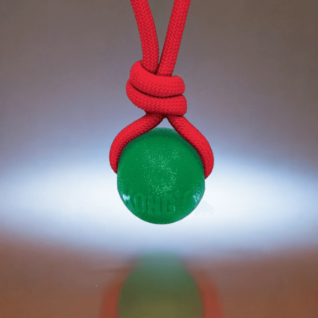 KONG Dog Toy "Holiday Jaxx Brights Tug w/Ball"