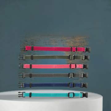 Trixie Hvalpehalsbånd – Justerbart Tilvænningshalsbånd i Forskellige Farver 🐾🎨