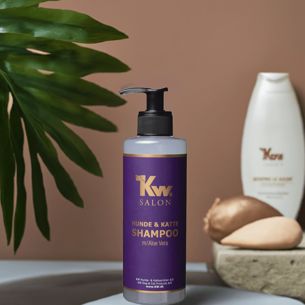 KW Salon Aloe Vera Shampoo 