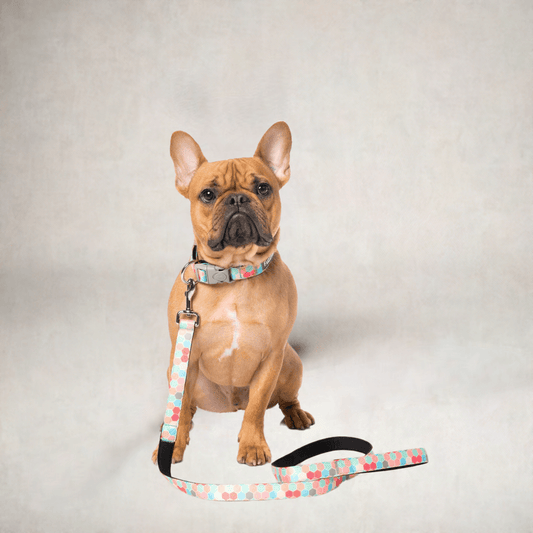 Fuzzyard Dog Leash 