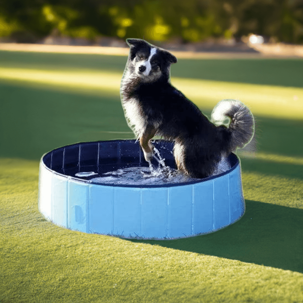 Trixie hunde bassin