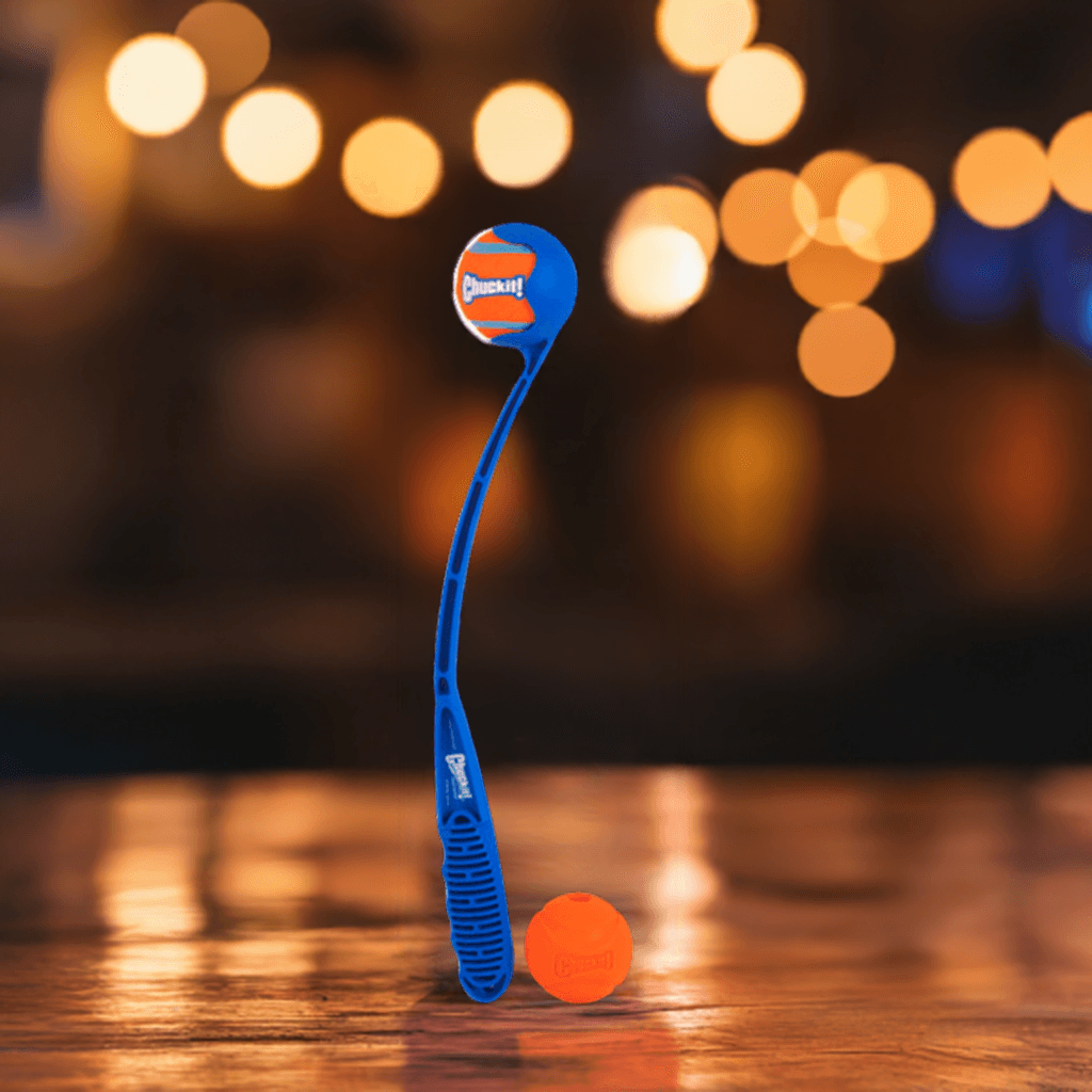 Chuck It Launcher &amp; fetch ball
