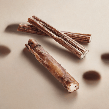Tikki snack "Ox energy bar" (Ox penis)