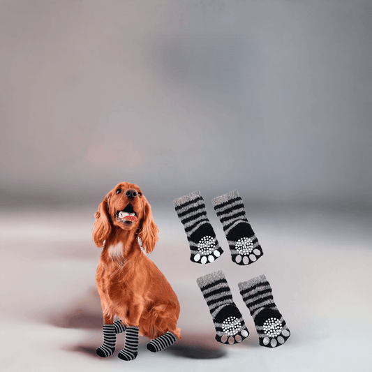 Flamingo Pet socks 4 stk i hver pk