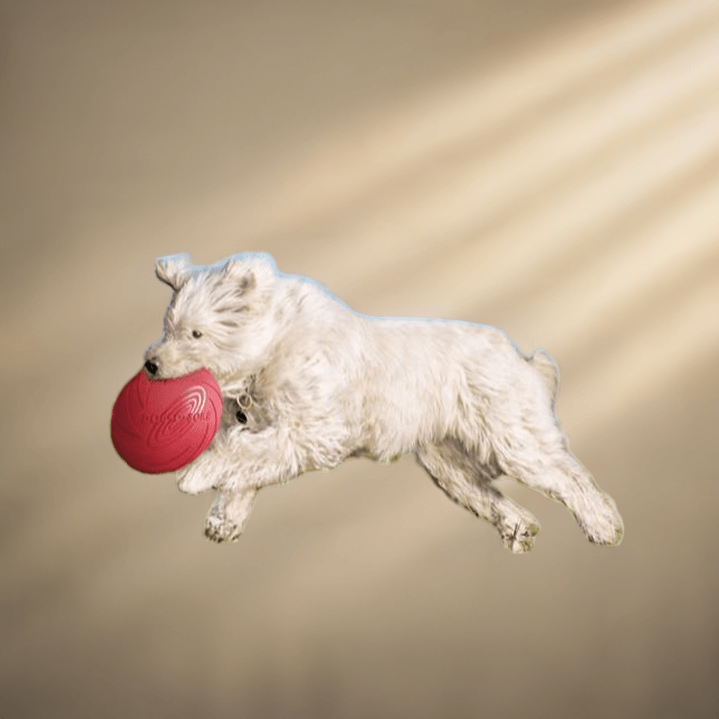 Trixie legetøj "Dog Disc" 24,5 cm