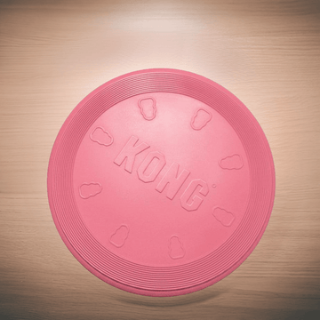 KONG Frisbee "puppy flyer"