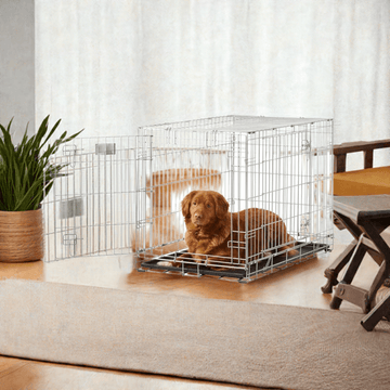 Savic "Residence" Hundebur – Foldbart, Robust & Rejsevenligt 🐶🔒🧳STÆRKT NEDSAT