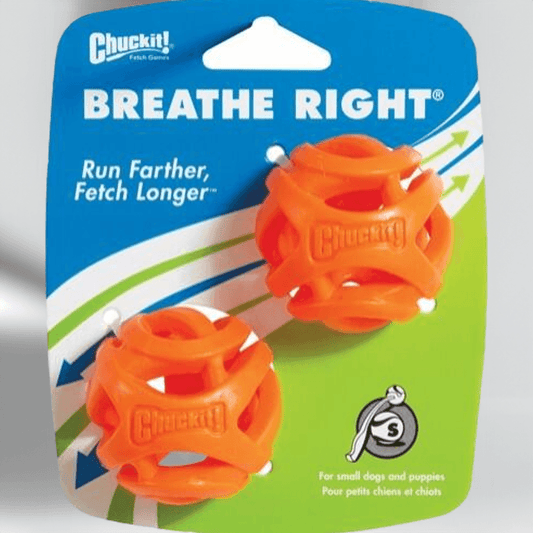 Chuck It Air fetch ball 