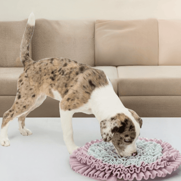 Trixie hundeaktivering "Snusetæppe"