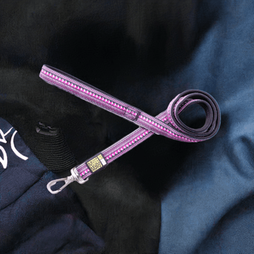 Max&amp;Molly leash "Ethnic"