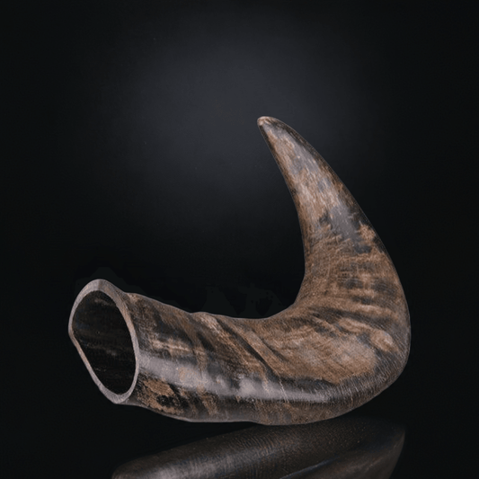 Trixie Buffalo Horn