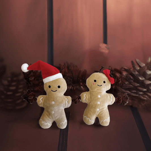 KW teddy bear, 
