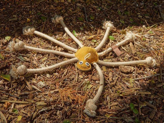 Lily Longlegs – Sjov og Bæredygtighed i Én Langbenet Pakke 🐶♻️