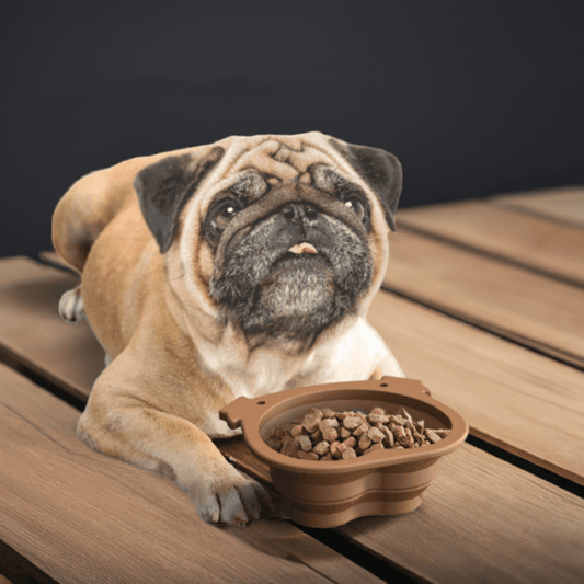Sammenklappelig Vandskål til Hund – Smart, Blød & Praktisk på Tur 🥤🐶