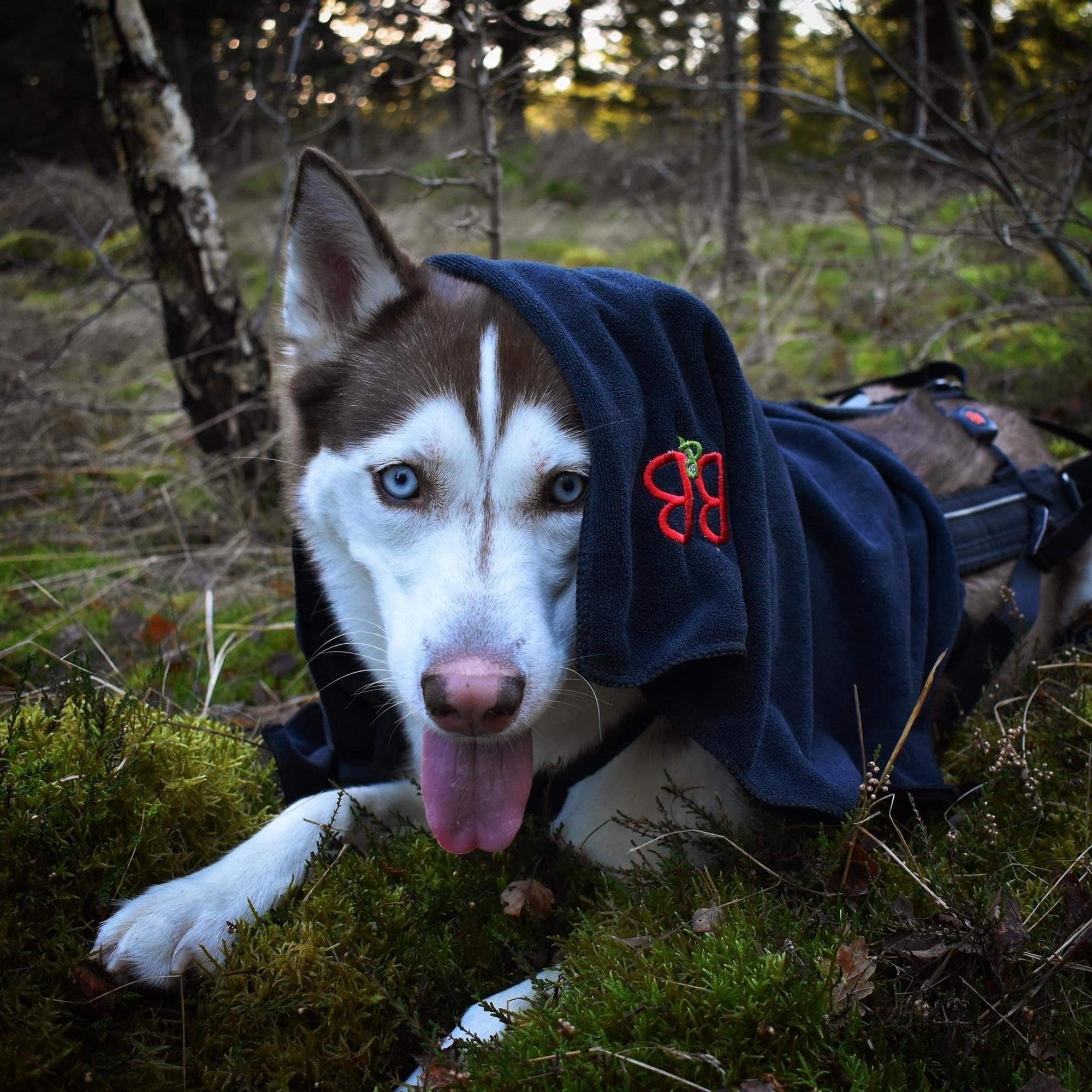 B&B Hunde håndklæde med nano teknologi - Luksuspoter.dk