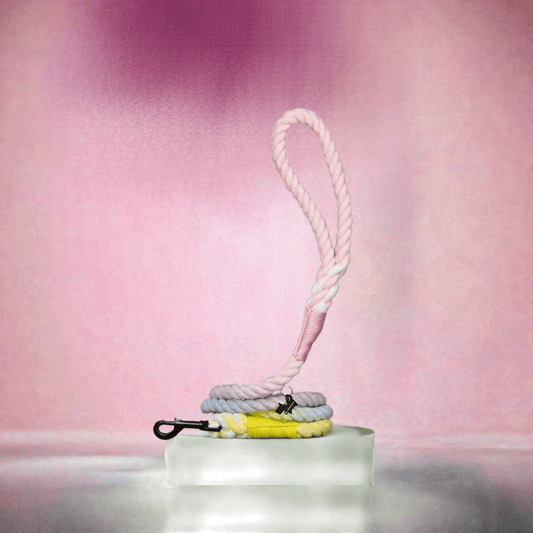 Luxury paws leash 