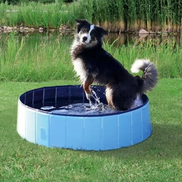 Trixie hunde bassin