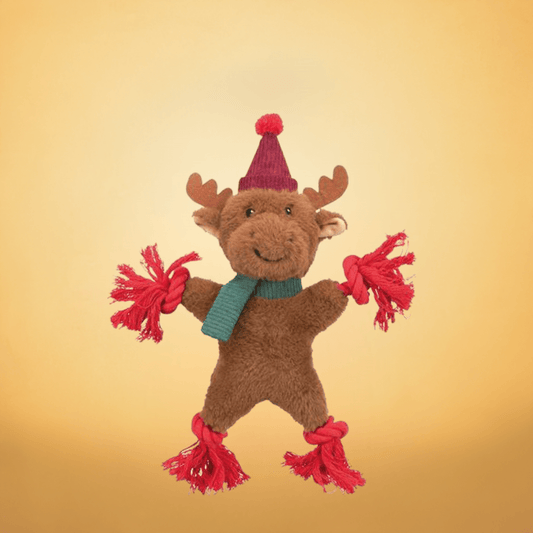 Trixie Christmas 