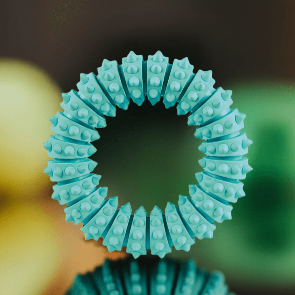 Trixie Mintfresh Ring i naturgummi med små gummipigge, tyggelegetøj til hvalpe med frisk mint-smag