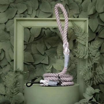 Luksuspoter hundesnor "Ash" - Luksuspoter.dk